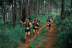 BIB: 
                            <button type="button" onclick="openModal(25694746)" class="btn btn-primary btn-sm float-right btn-popup" data-toggle="modal" data-target=".modal-high-quality">
                        <i class="fas fa-shopping-cart"></i> Add to Cart
                    </button>
                                            <button type="button" onclick="isThisMe(25694746, true)" class="btn btn-success btn-sm float-right btn-popup btn-isme hidden" data-toggle="tooltip" data-placement="bottom" title="นี่คือรูปของคุณใช่ไหม คลิกที่นี่เพื่อเอาเข้าอัลบั้ม">
                        <i class="fas fa-plus"></i> Add to album
                    </button>
                    <button type="button" onclick="isThisMe(25694746, false)" class="btn btn-warning btn-sm float-right btn-popup btn-isnotme hidden">
                        <i class="fas fa-ban"></i> Remove from album
                    </button>